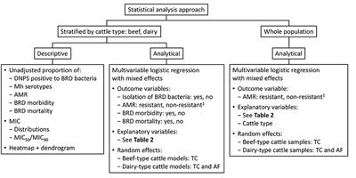 Prevalence and Risk Factors Associated With Antimicrobial Resistance in Bacteria Related to Bovine Respiratory Disease—A Broad Cross-Sectional Study of Beef Cattle at Entry Into Canadian Feedlots